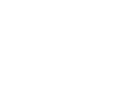 toyo-white